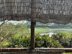 -华侨城湿地公园