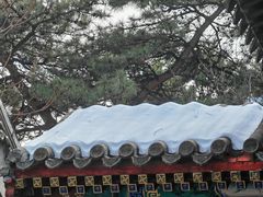 -香山公园