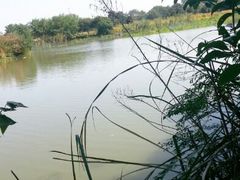 android_upload_pic-梁鸿国家湿地公园