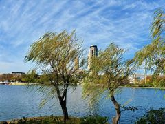 -莱西月湖公园