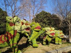 -洛阳市隋唐城遗址植物园