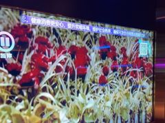 -温莎KTV(国贸店)