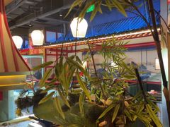-牛New寿喜烧(金茂览秀城店)