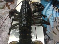 -盒马鲜生(宝地店)