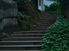 -广州兰圃