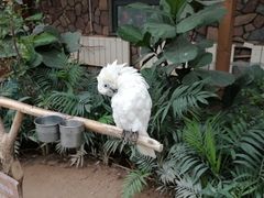 -南宫五洲植物乐园