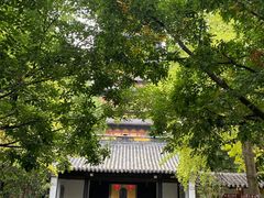 -常熟方塔园