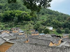-杨家堂村