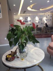 -郑荃丽格医疗美容