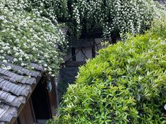 -见山书院
