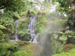 -Chom Cafe and Restaurant