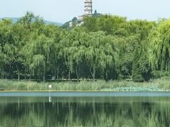 -北坞公园