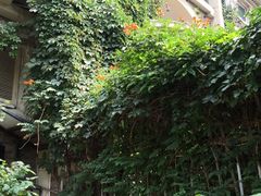 -成桂西餐厅·42年的味道(五大道疙瘩楼店)