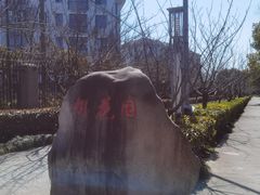 -高东镇樱花园