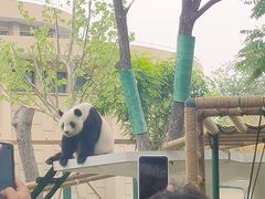 -天津市动物园