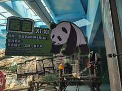 -大青山野生动物园
