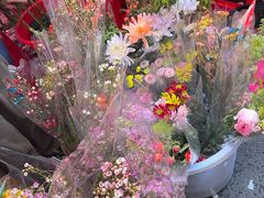 -越秀西湖花市(广州城市广场花卉店)