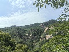 -大岭沟猕猴桃谷风景区