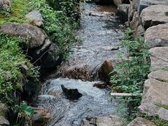 -MOJ coffee(瓯海泽雅水碓坑店)