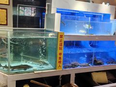 -王捌小院(红花坡店)