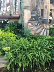 -梦田都市农场(银泰城店)