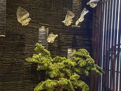 -上足·影院足道·SPA(红岭店)
