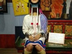 -信不信由你博物馆