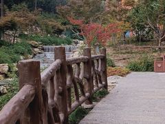 -大伊山景区