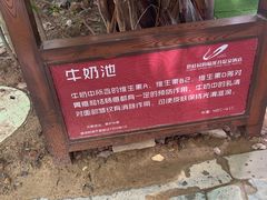 -碧桂园润杨溪谷温泉酒店