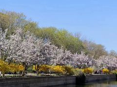 -元大都城垣遗址公园