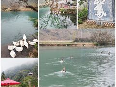 -靖西鹅泉风景区