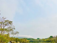 -深圳人才公园