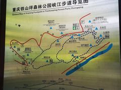 -铁山坪森林公园