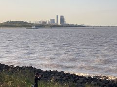 -上海滨江森林公园