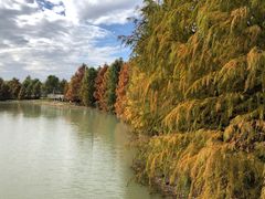 -上海海湾国家森林公园