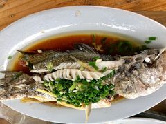 清蒸白花鱼-海上驿站渔家菜馆