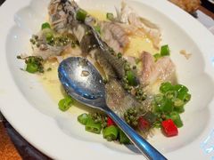 -海派悦庭·海胆烧麦·新融合菜(凯德广场店)