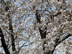 -杭州西湖东坡酒店