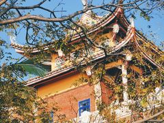 -龙舟池
