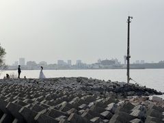 -上海滨江森林公园