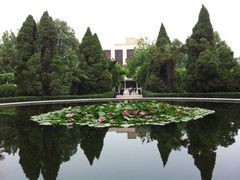 -河南财经政法大学(文北校区)