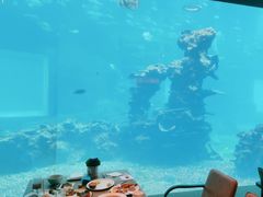 -涛·海底餐厅·美人鱼·自助餐·海底隧道(三亚海棠湾洲际度假酒店)