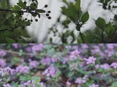 -桂溪生态公园