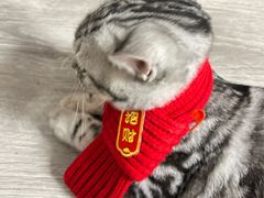 -众品老方子锅贴甜沫(李村店)