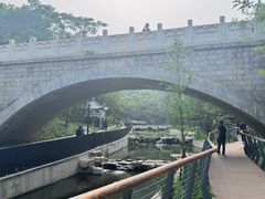 -白水寺森林公园