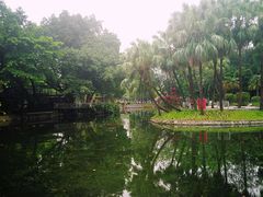 -晓港公园