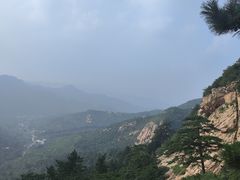 -大芦花风景区