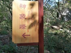 -老象峰