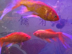 -钱王祠