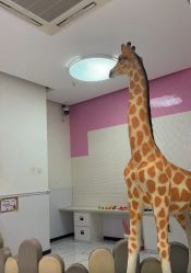 -哈贝儿童摄影(增城大润发店)